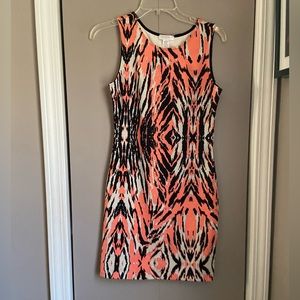 Tiger Print Dress